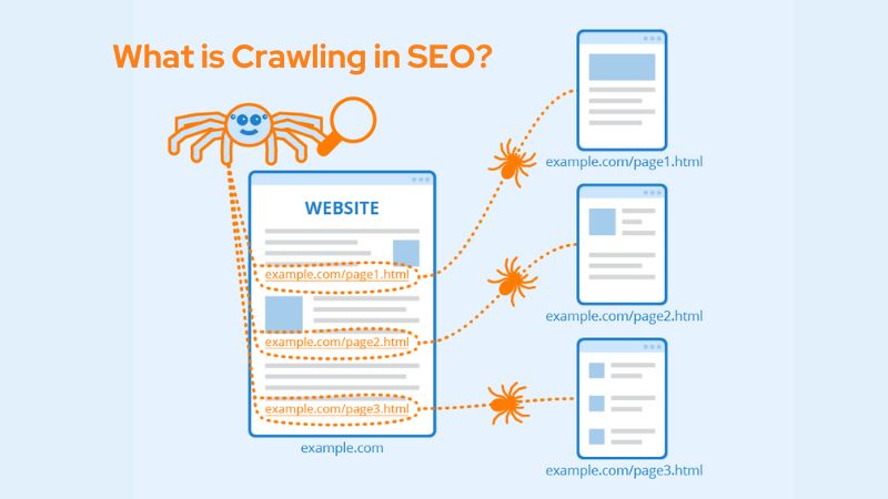 What is Crawling in SEO